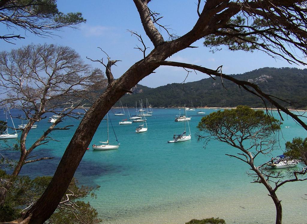 Le Cube Hotel Design A Hyeres Plage Avec Piscine Et Cuisine Eksteriør billede